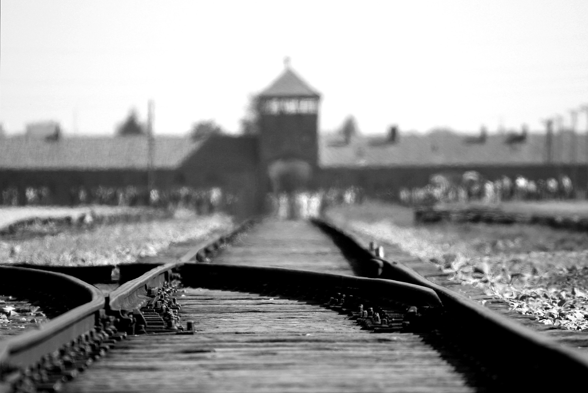 Auschwitz – Un coşmar real